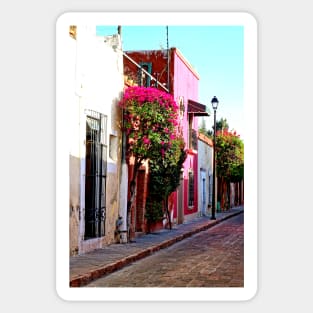 Ruelle de Queretaro, Mexique Sticker